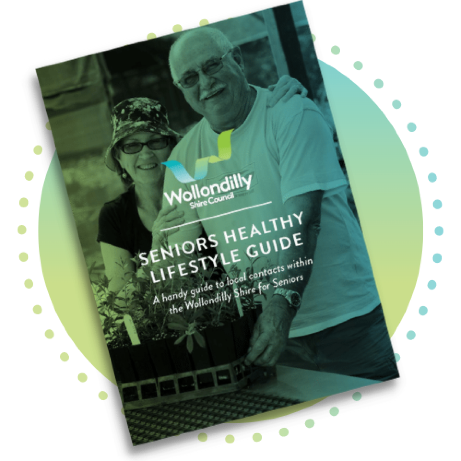 Seniors Healthy Lifestyle Guide Document Highlight