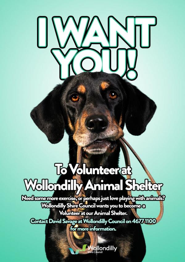 Animals and Pets » Wollondilly Shire Council