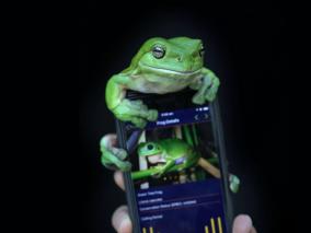 frog id app